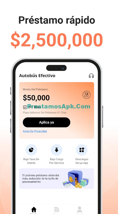 Autobus Efectivo 1