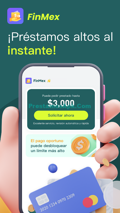 FinMex 1