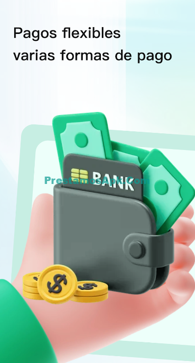 CashVia 6